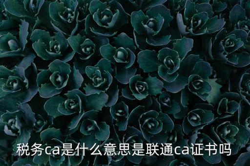 稅務ca是什么意思是聯(lián)通ca證書嗎