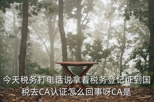 稅務局ca證書是什么意思，今天稅務打電話說拿著稅務登記證到國稅去CA認證怎么回事呀CA是