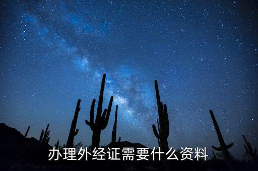 辦理外經(jīng)證需要什么資料