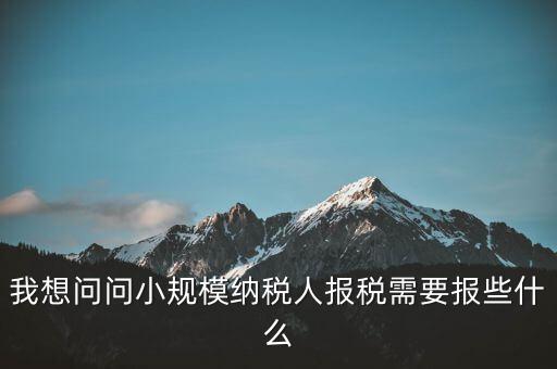 我想問問小規(guī)模納稅人報稅需要報些什么