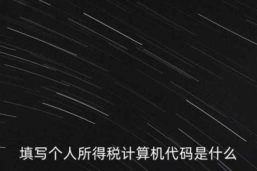 填寫個人所得稅計算機(jī)代碼是什么