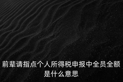 前輩請指點個人所得稅申報中全員全額是什么意思