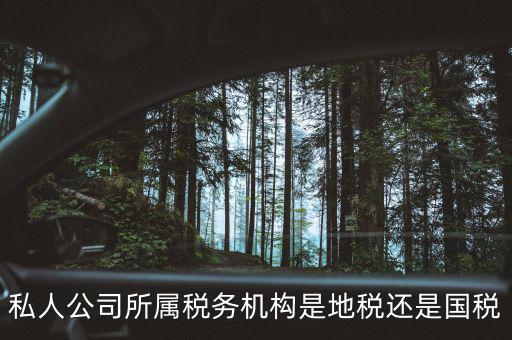 個人開企業(yè)交什么地稅局，私人公司所屬稅務機構(gòu)是地稅還是國稅