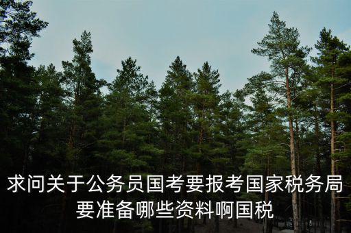 求問關于公務員國考要報考國家稅務局要準備哪些資料啊國稅