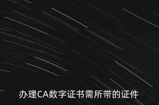 辦理CA數字證書需所帶的證件