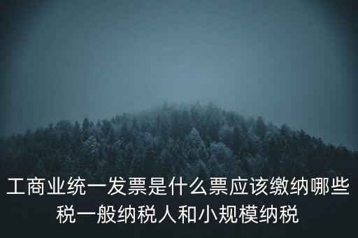 工商業(yè)統(tǒng)一發(fā)票是什么票應(yīng)該繳納哪些稅一般納稅人和小規(guī)模納稅