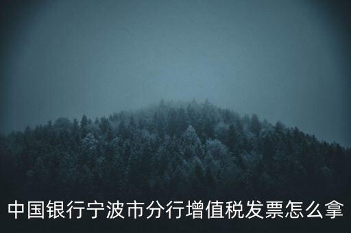 寧波國稅過發(fā)票要帶什么，浙江地區(qū)公司首次拿發(fā)票去國稅局需要帶什么證件