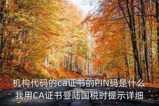 國(guó)稅ca證書登錄 密碼是什么，國(guó)稅第一次網(wǎng)上申報(bào)的登陸密碼是什么