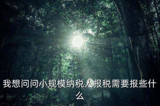 我想問問小規(guī)模納稅人報稅需要報些什么