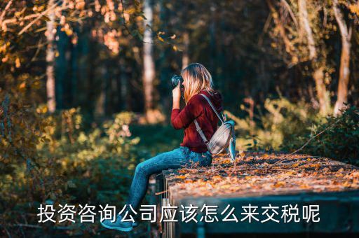 投資咨詢公司應(yīng)該怎么來(lái)交稅呢