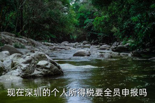 深圳為什么要個稅申報，外地企業(yè)如何在深圳為什么還要繳納個人所得稅1