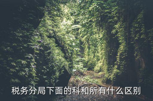 稅局計(jì)統(tǒng)科是什么意思，稅務(wù)分局下面的科和所有什么區(qū)別