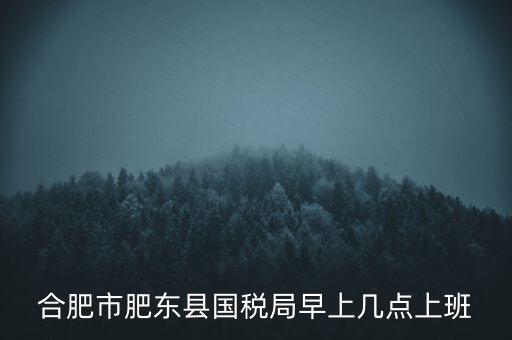 安徽國(guó)稅什么時(shí)候上班時(shí)間，國(guó)稅局的上班時(shí)間