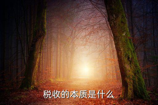 納稅服務(wù)本質(zhì)是什么意思，稅收的本質(zhì)是什么