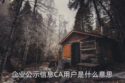 納稅人ca用戶是什么意思，什么是CA用戶啊