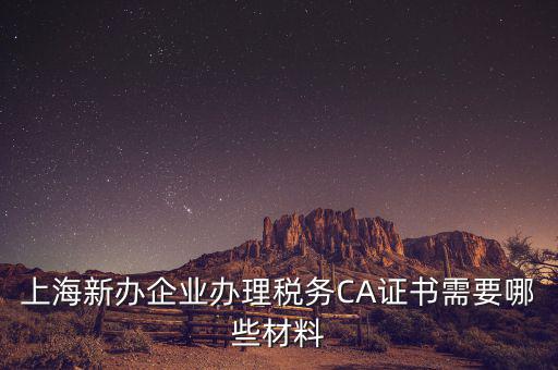 2014年7月份上海稅務(wù)局還需要審什么證，上海新辦企業(yè)辦理稅務(wù)CA證書需要哪些材料