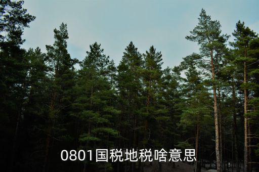 鹽城地稅三化是什么意思，地稅三優(yōu)兩促進(jìn)是什么意思