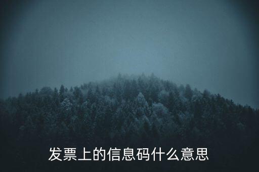 發(fā)票上的信息碼什么意思