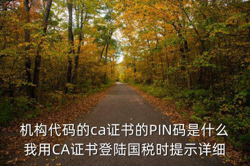 機構(gòu)代碼的ca證書的PIN碼是什么我用CA證書登陸國稅時提示詳細