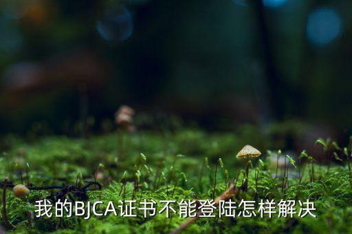 為什么ca證書不能登錄，我的BJCA證書不能登陸怎樣解決