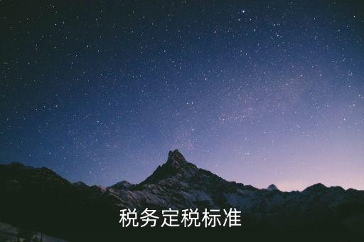 定稅是什么標(biāo)準(zhǔn)，稅務(wù)定稅標(biāo)準(zhǔn)