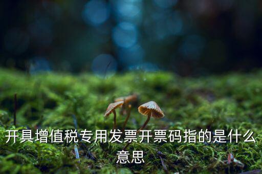 開(kāi)具增值稅專用發(fā)票開(kāi)票碼指的是什么意思