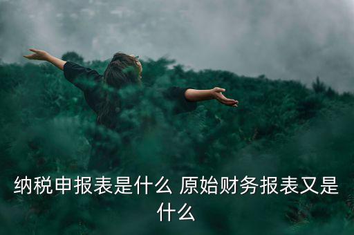 納稅申報(bào)表是什么 原始財(cái)務(wù)報(bào)表又是什么