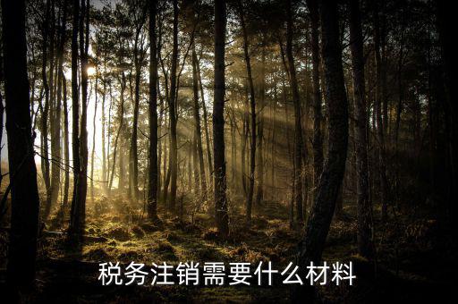 注銷金稅盤需要帶什么，注銷稅務(wù)登記證需提供哪些材料