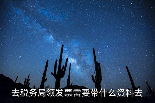 領發(fā)票需要帶什么，去稅務局領發(fā)票需要帶什么資料去