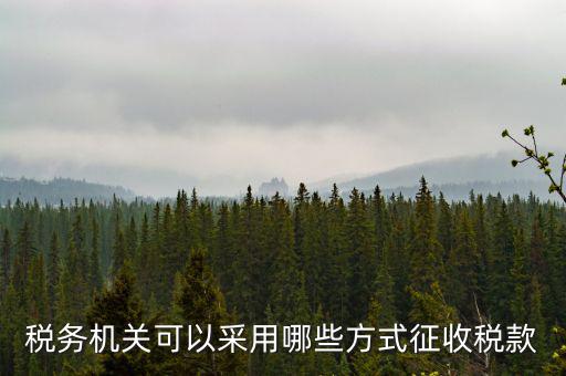 稅務局按什么征收稅務，稅務機關可以采用哪些方式征收稅款