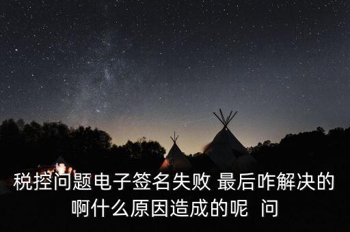 什么是稅控簽名，報稅時數(shù)字簽名是甚么意思