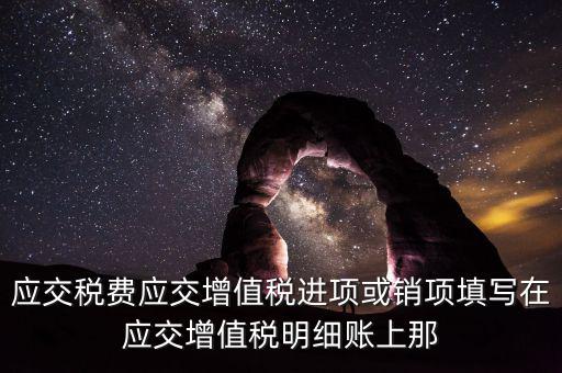 扣繳稅款登記填什么稅，在個人所得稅代扣代繳軟件中所要填寫的稅務登記號是填國稅的還是地