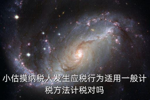 小估摸納稅人發(fā)生應稅行為適用一般計稅方法計稅對嗎