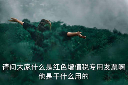 請問大家什么是紅色增值稅專用發(fā)票啊他是干什么用的