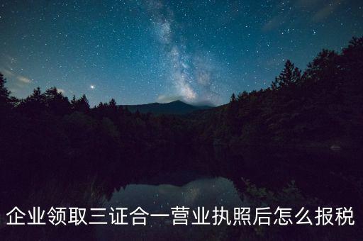 企業(yè)領(lǐng)取三證合一營業(yè)執(zhí)照后怎么報稅