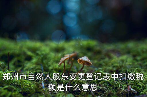 扣繳稅款登記是什么意思，應當按照稅收征管法等有關規(guī)定辦理扣繳稅款登記領取扣繳憑