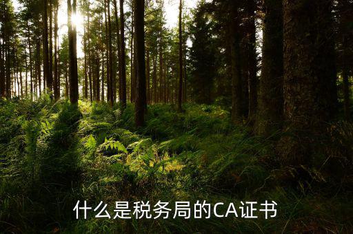 什么是納稅人ca證書，什么是ca證書