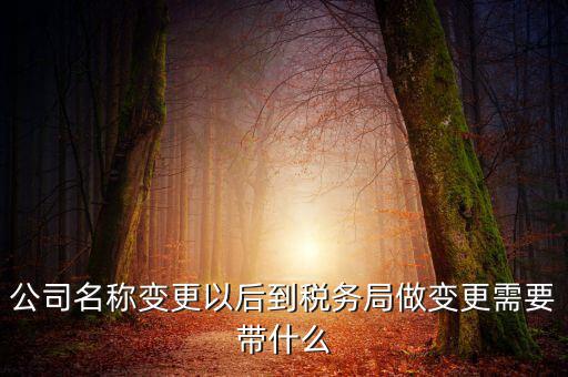 公司名稱變更以后到稅務(wù)局做變更需要帶什么