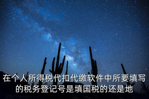 在個(gè)人所得稅代扣代繳軟件中所要填寫的稅務(wù)登記號(hào)是填國稅的還是地