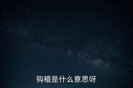 鉤稽是什么意思呀