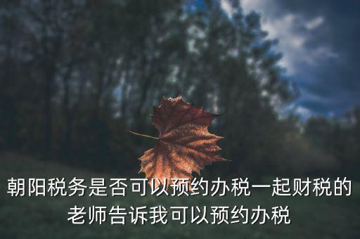 朝陽稅務(wù)是否可以預(yù)約辦稅一起財(cái)稅的老師告訴我可以預(yù)約辦稅