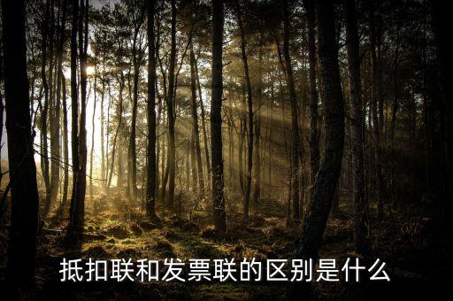 抵扣聯(lián)和發(fā)票聯(lián)的區(qū)別是什么