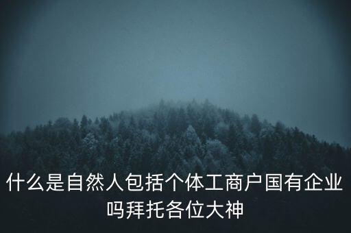 什么是稅務中的自然人，會計中自然人所指的是那種人