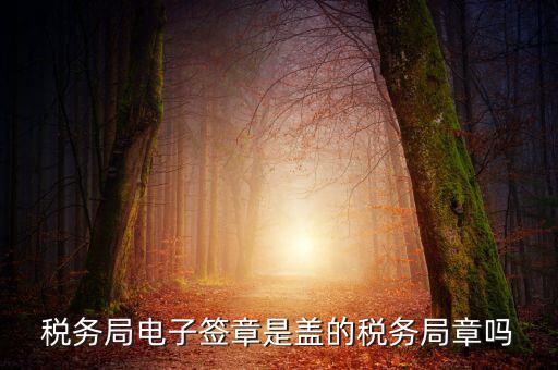 稅務(wù)局電子簽章是什么，在國稅系統(tǒng)電子簽章時為什么不是每次都提示輸入口令