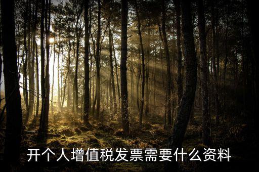 開個人增值稅發(fā)票需要什么資料