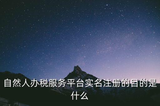 自然人辦稅服務(wù)平臺(tái)實(shí)名注冊的目的是什么