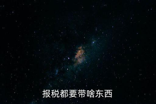 報稅都要帶啥東西