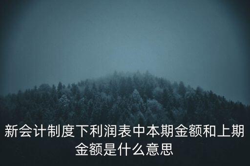 新會計制度下利潤表中本期金額和上期金額是什么意思