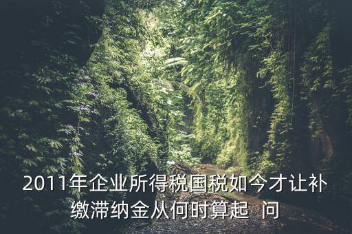 納稅滯納金什么時候算，企業(yè)所得稅滯納金計算從何時開始計算