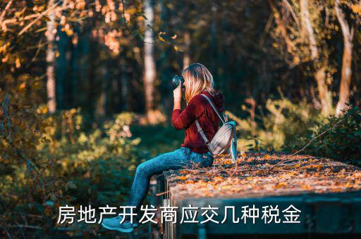 房地產(chǎn)公司交什么稅，房地產(chǎn)公司都要交什么稅